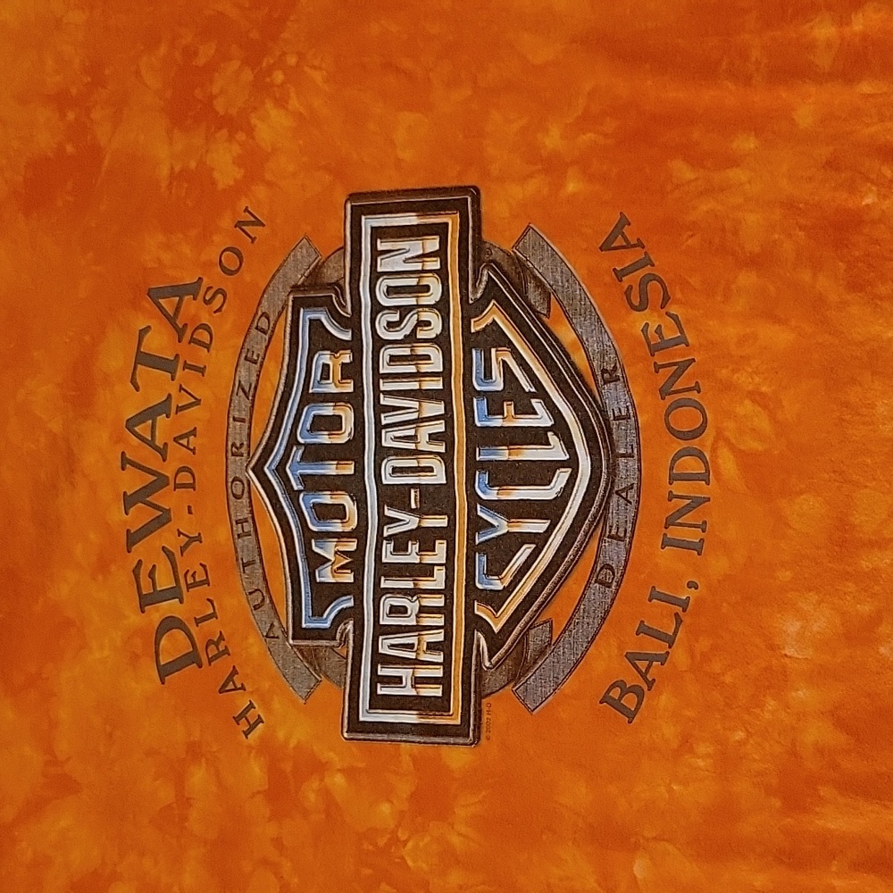 Harley Davidson t-shirt